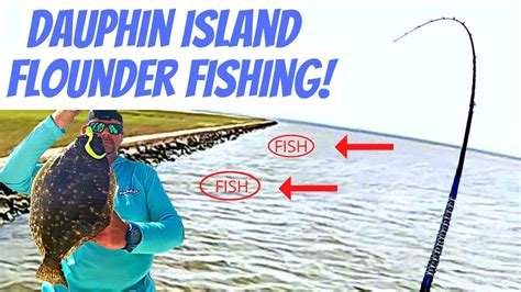 fishing on dauphin island|deep sea fishing dauphin island.